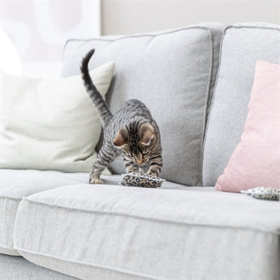 Trixie Speelkussen Leo Panterprint Met Valeriaan Assorti