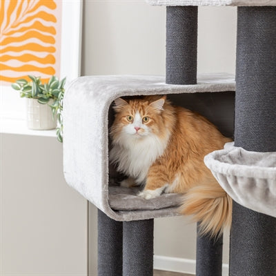 Trixie Krabpaal Rafael Xxl Lichtgrijs / Donkergrijs